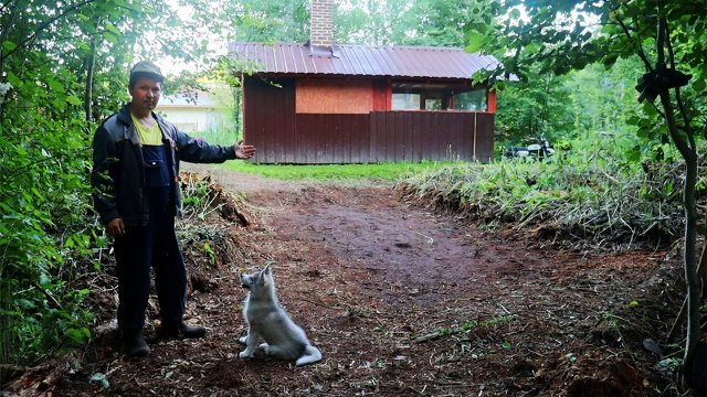 Строю загон для фермы на хуторе! Чищу лес за прудом!