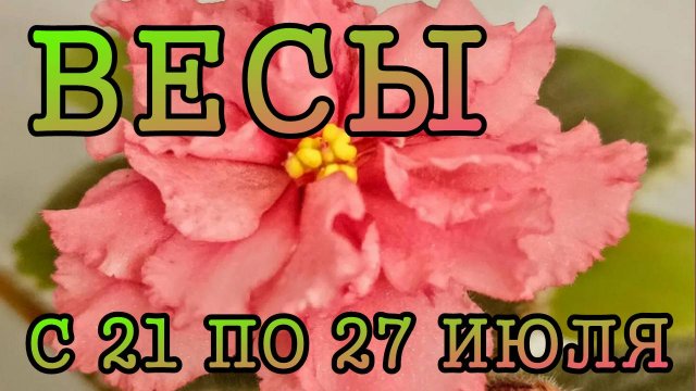 ВЕСЫ таро прогноз на неделю с 21 по 27 ИЮЛЯ 2025 года.