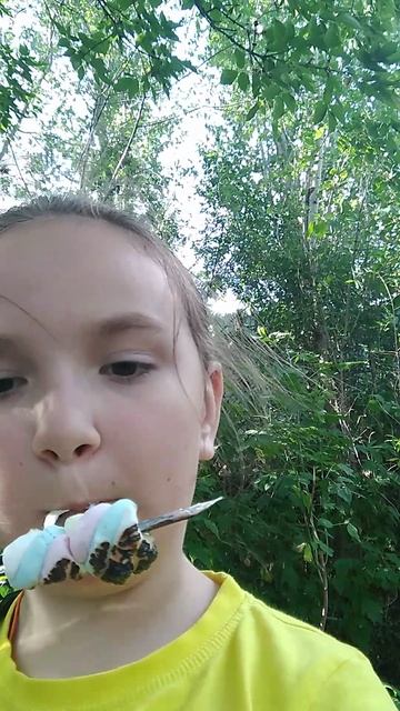 VID_20250709_161241.mp4
