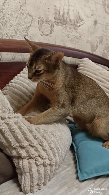 Радоваться жизни.... 😍😻😍