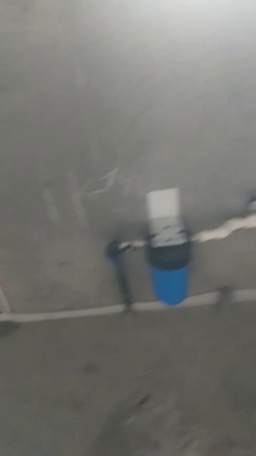 video5462969968381426648