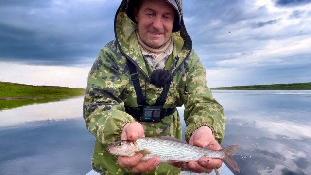 Первый хариус. Проверяем сети. Попали в ливень.
