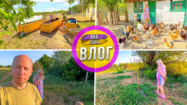 Жизнь в Крымском селе. Плодовые деревья - пустые! Этот год без урожая. Ферма. Высокие грядки.