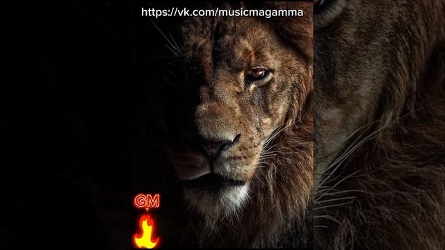 Музыка