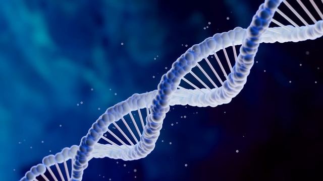 Июль 2025: Самое Мощное Омоложение Организма После 50 лет ☀️ Обновления: сайт ГАРЯЕВ-МАТРИЦЫ.РФ