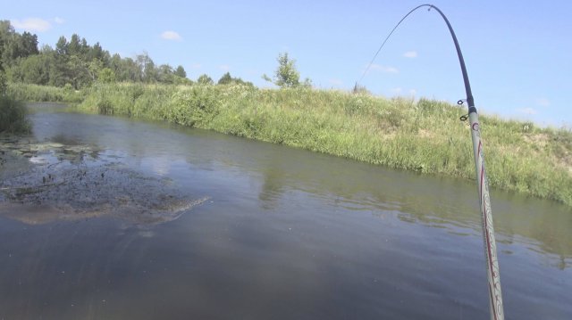 Летняя рыбалка на небольшой речке. На что ловить в жару!!!!