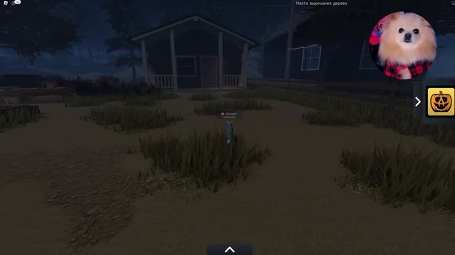 КОТЫ ВОИТЕЛИ В РОБЛОКС ! Я СТАЛА КОТИКОМ В РОБЛОКС ! Warrior Cats: Ultimate Edition