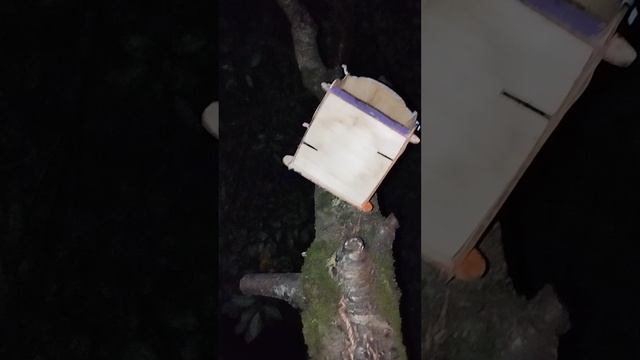 догдэй ночная прогулка 🐶👧🐕😂😃