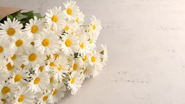 Подарю тебе ромашек я большой букет