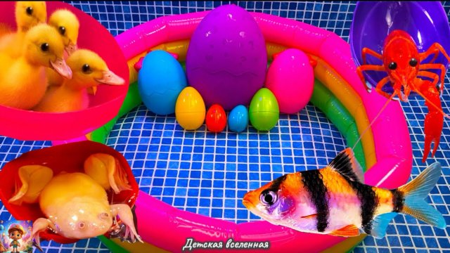 КРАСОЧНЫЕ ЯЙЦА С СЮРПРИЗОМ / УТКА И УТЯТА, ЛОБСТЕР, ЗМЕЯ, РЫБЫ / ДЕТСКАЯ ВСЕЛЕННАЯ
