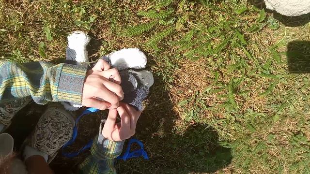 влог прогулка с игрушечными собаками 🐶🐶