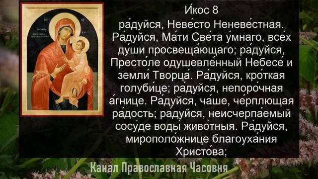 АКАФИСТ МОЛИТВА СКОРОПОСЛУШНИЦЕ