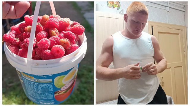 "Жизнь на пенсии". Собрала немного малины и общалась со старшим внуком.