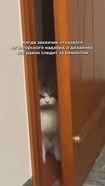 из работы дизайнером 😄😉