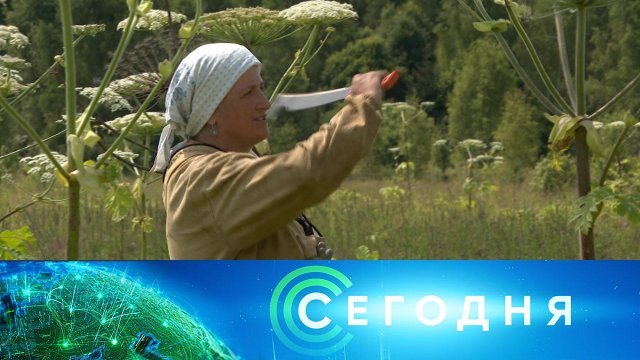 «Сегодня»: 21 июля 2025 года. 19:00 | Выпуск новостей | Новости НТВ