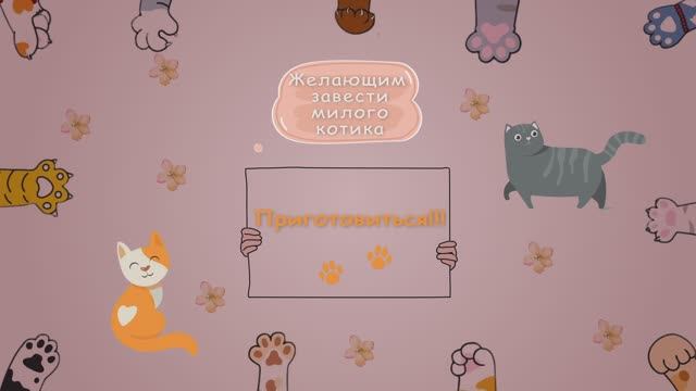 Ваш лучший выбор