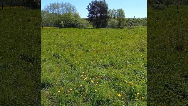 video_2025-07-22_16-20-49