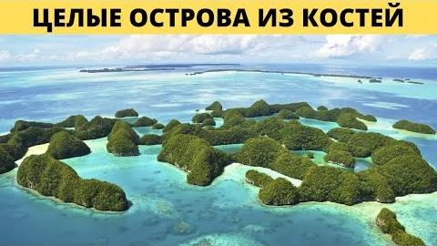 ⚡ КОРАЛЛЫ растут на КОСТЯХ погибших в ПОТОПЕ ...