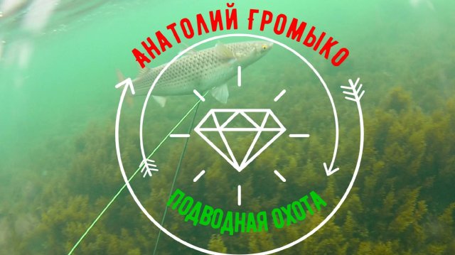 Подводная охота в Черном море. Сезон 2025 Июль.