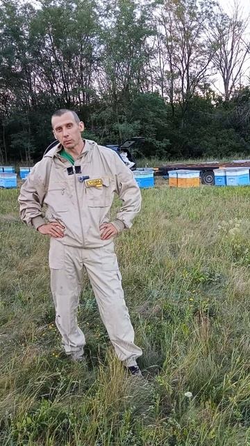Анонс по опылению