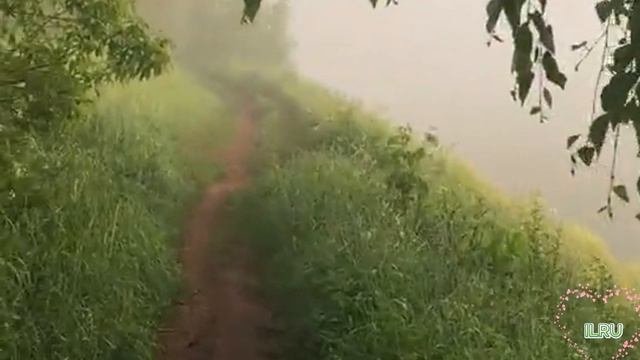 Жизненные истории. В поисках своего принца... Истории о любви