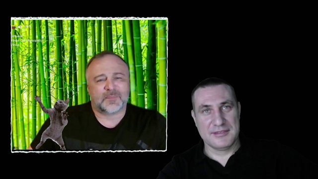 Прибалтийский котик обгадился. Чатрулетка