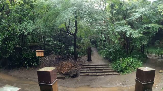 4K・ Прогулка под дождем по долине Тодороки | Токио, Япония