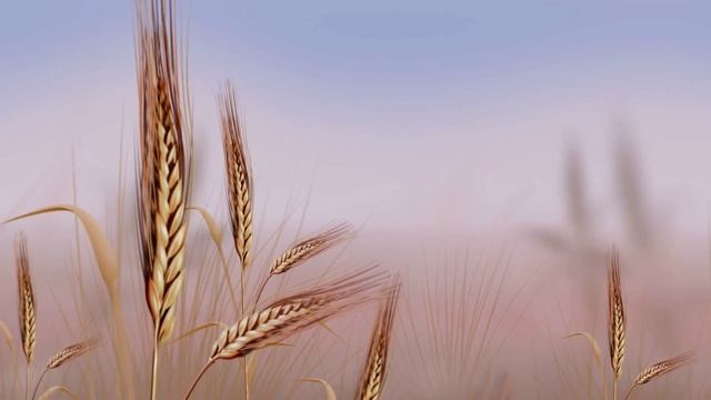 Вернись к Себе 🕊️ Ощути себя изнутри