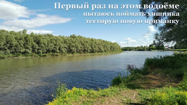 Тестировал новую блесну — неожиданно поймал каракатицу.