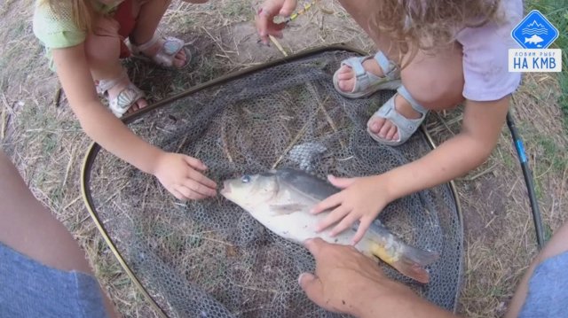 Рыболовный Комплекс Карповик🎣🐟. Рыбалка с детворой 😉