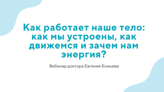 Как работает наше тело: как мы устроены, как движемся и зачем нам энергия?