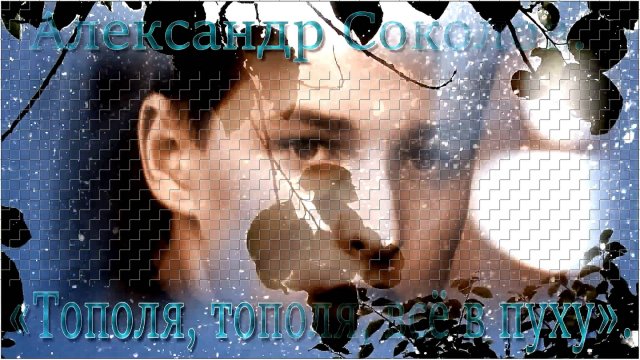 Александр Соколов - «Тополя, тополя, всё в пуху».
