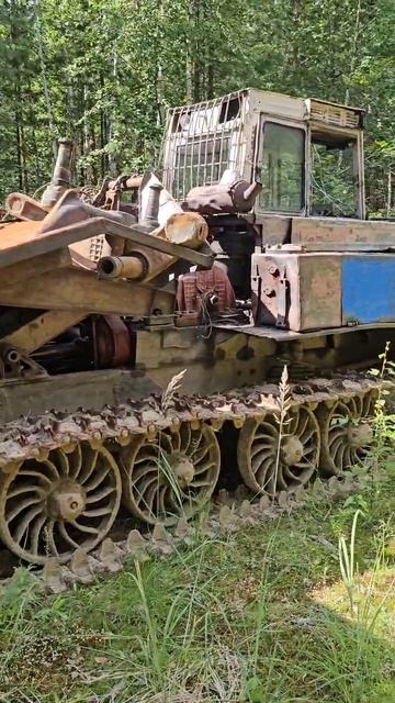 СССР в тайге