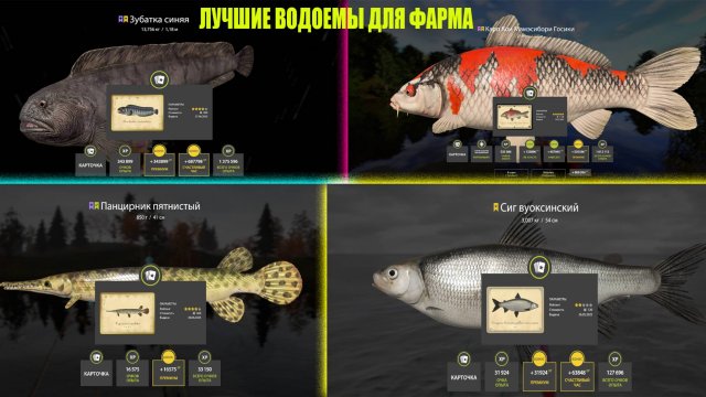 ЛУЧШИЕ ВОДОЕМЫ ДЛЯ ФАРМА В РУССКОЙ РЫБАЛКЕ 4 РР4
