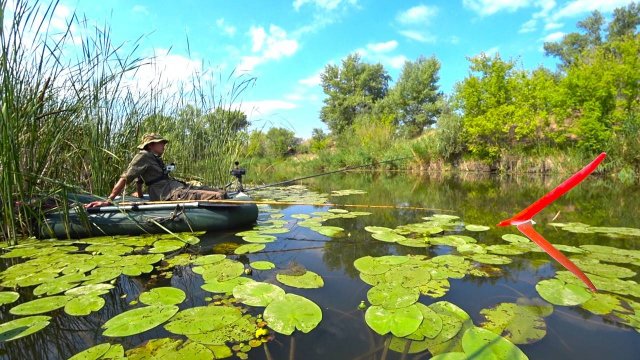 Рыбалка на зорьке - ОНО СОГНУЛО И ПОТАЩИЛО.... Летний поплавок - язи, лещи, сазан, карась!!