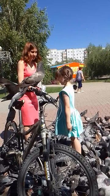 Мои