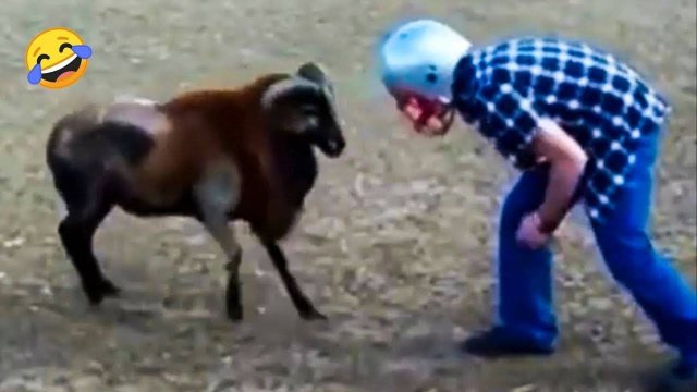 Лучшие смешные видео 2025 года 😂 Попробуй не засмеяться. Смешные видео №2 😂