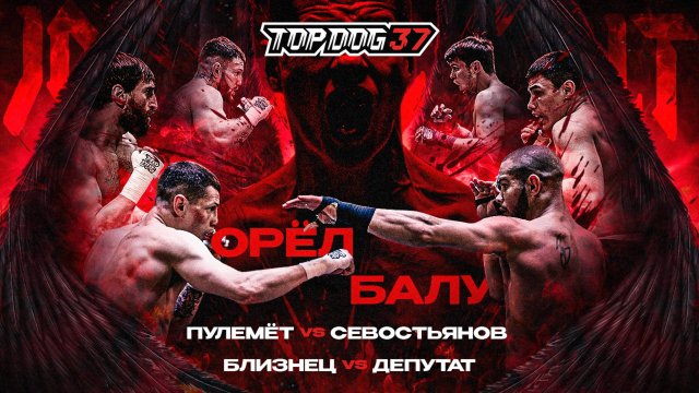 Орёл VS Балу, Пулемёт VS Севостьянов, Близнец VS Депутат | TOP DOG 37, Москва
