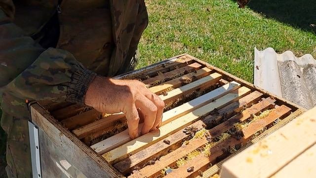 Мы с невестой Таней любим наших девочек !!!🐝