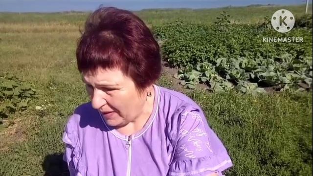 Завели с дедом ляльку/будем обшивать дом