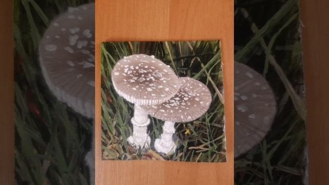 Нахожусь в триппе под Пантерным мухомором. Что такое мухоморный трип.