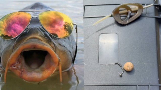 Клëв КАРПА Так Близко! В последнюю секунду Карп сорвался  🐠🐋🐟