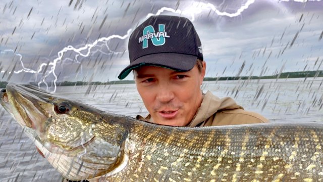 ЖРУТ ВСЁ ПОДРЯД! Я В ШОКЕ ОТ ТАКОЙ РЫБАЛКИ! БЕШЕНЫЕ ГОРБАЧИ И ЩУКИ!