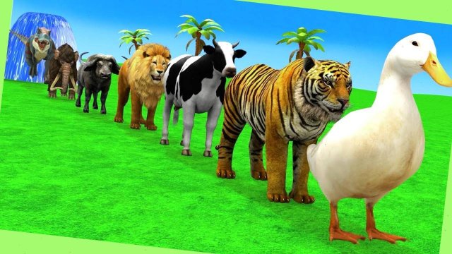 Мультики про диких животных. Животные: горилла, тигр, бегемот. Смотреть онлайн Мультики для детей
