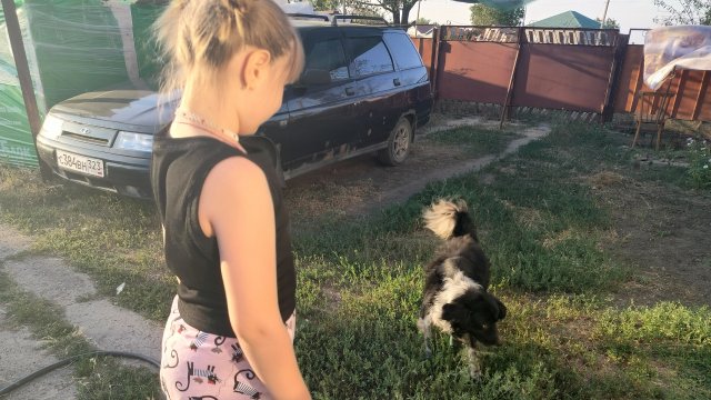 Жара продолжается. Приехали гости. Жизнь на пенсии.