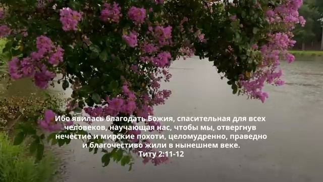 ☦️Божье Слово перед сном станет для вас источником внутренней силы, успокоения и поддержки |🎗️