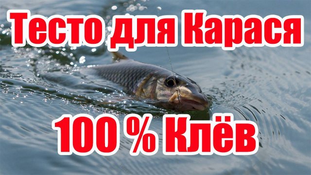 Насадка на Карася Карп Лещ Плотва На что ловить карася