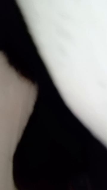 1000019883.mp4