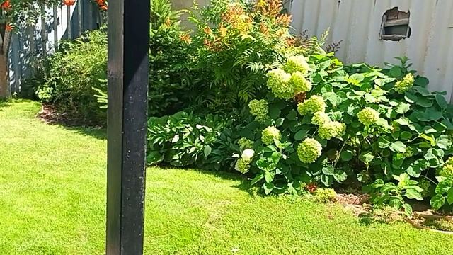 28.07.2025г.СЕГОДНЯ МЫ  ПО ТРАДИЦИИ,ШАШЛЫКИ НУ КОНЕЧНО БАНЯ///
ОБЫЧНАЯ СЕЛЬСКАЯ ЖИЗНЬ