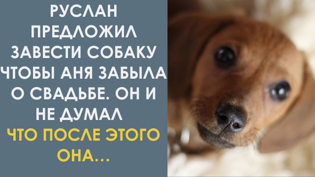 Зачем я сказал про собаку? Лучше бы женился. Думал Руслан. Он и не думал, что она